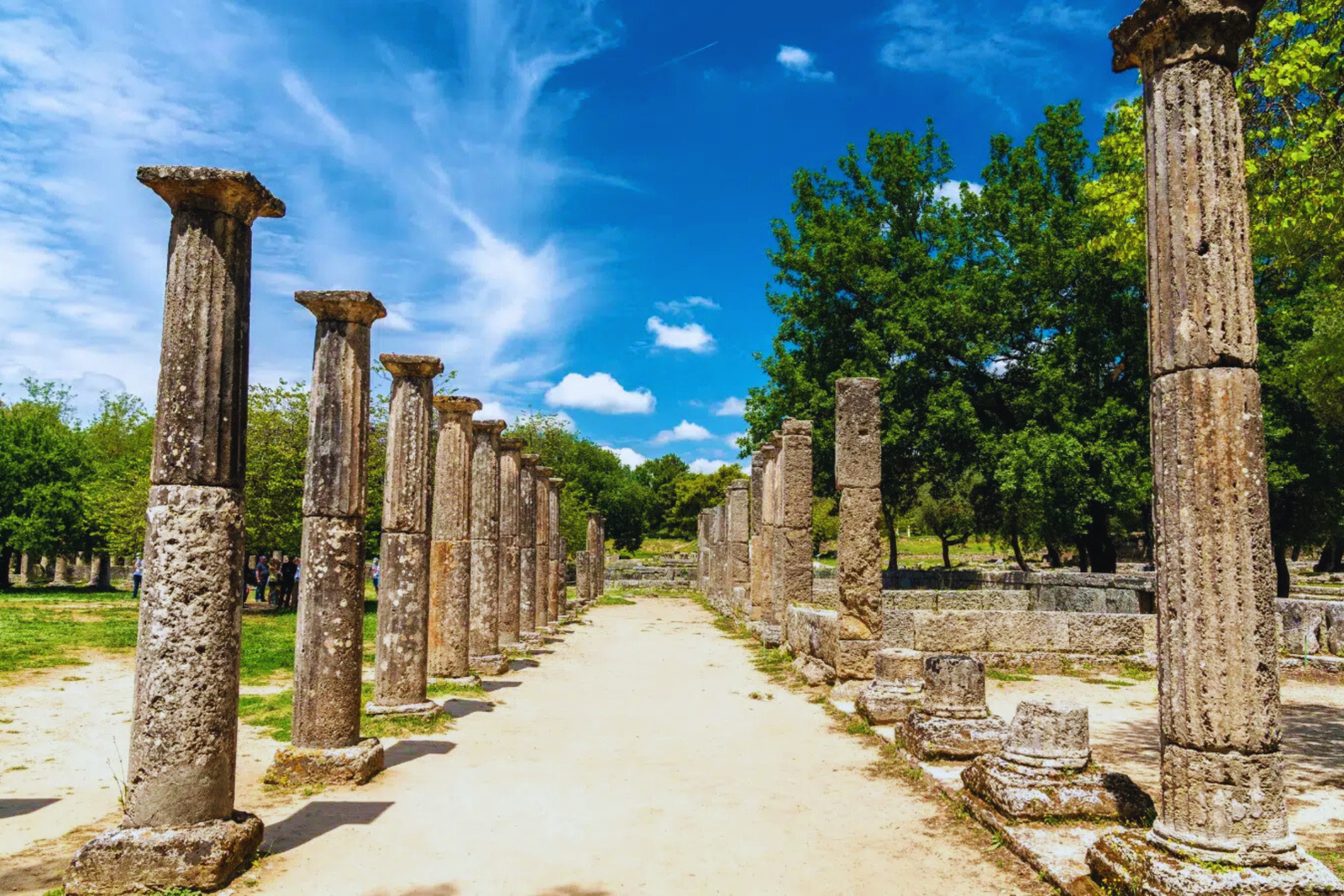 Professional chauffeur