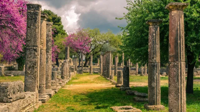 Stone columns among green grass and pink trees at ancient Olympia